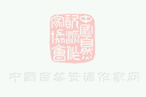 100g雞胸肉套餐